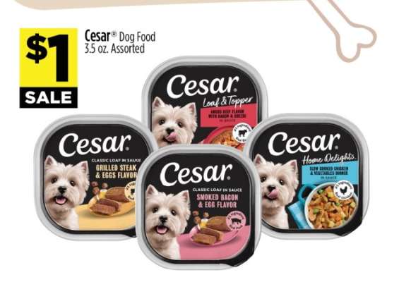 Cesar Dog Food