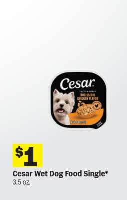 Cesar Wet Dog Food Single