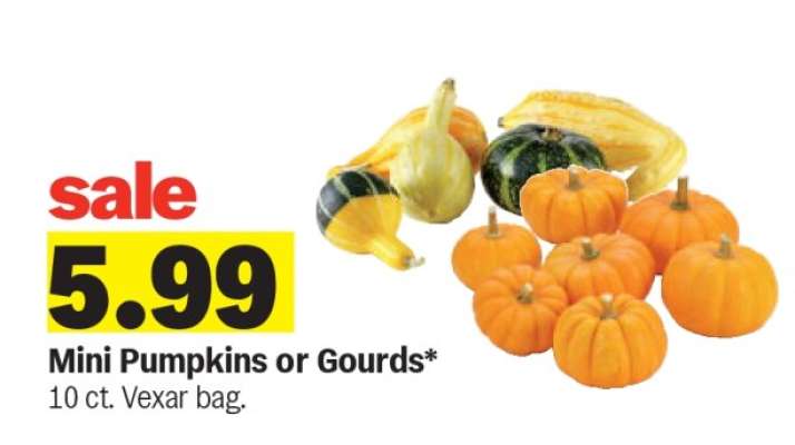 Mini Pumpkins or Gourds