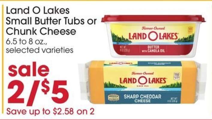 Land O Lakes Small Butter Tubs or Chunk Cheese