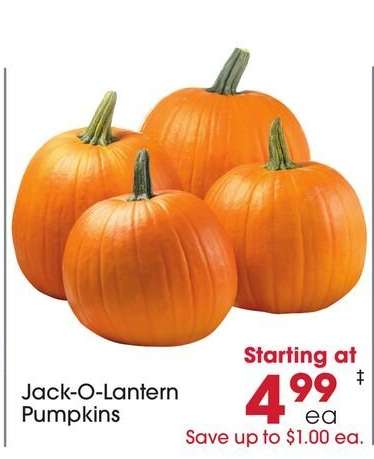 Jack-O-Lantern Pumpkins