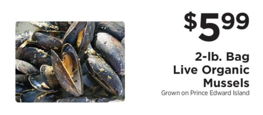 Live Organic Mussels