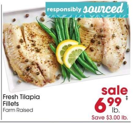 Fresh Tilapia Fillets