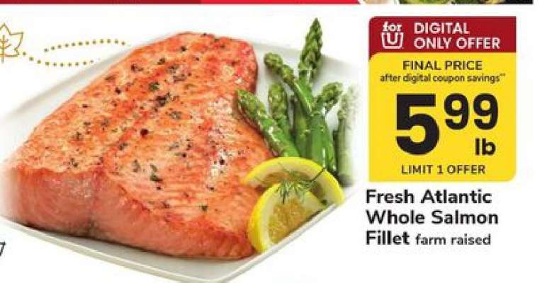Fresh Atlantic Whole Salmon Fillet