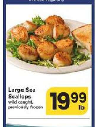 Large Sea Scallops