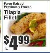 Tilapia Fillet