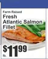 Fresh Atlantic Salmon Fillet
