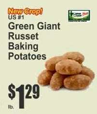 Green Giant Russet Baking Potatoes