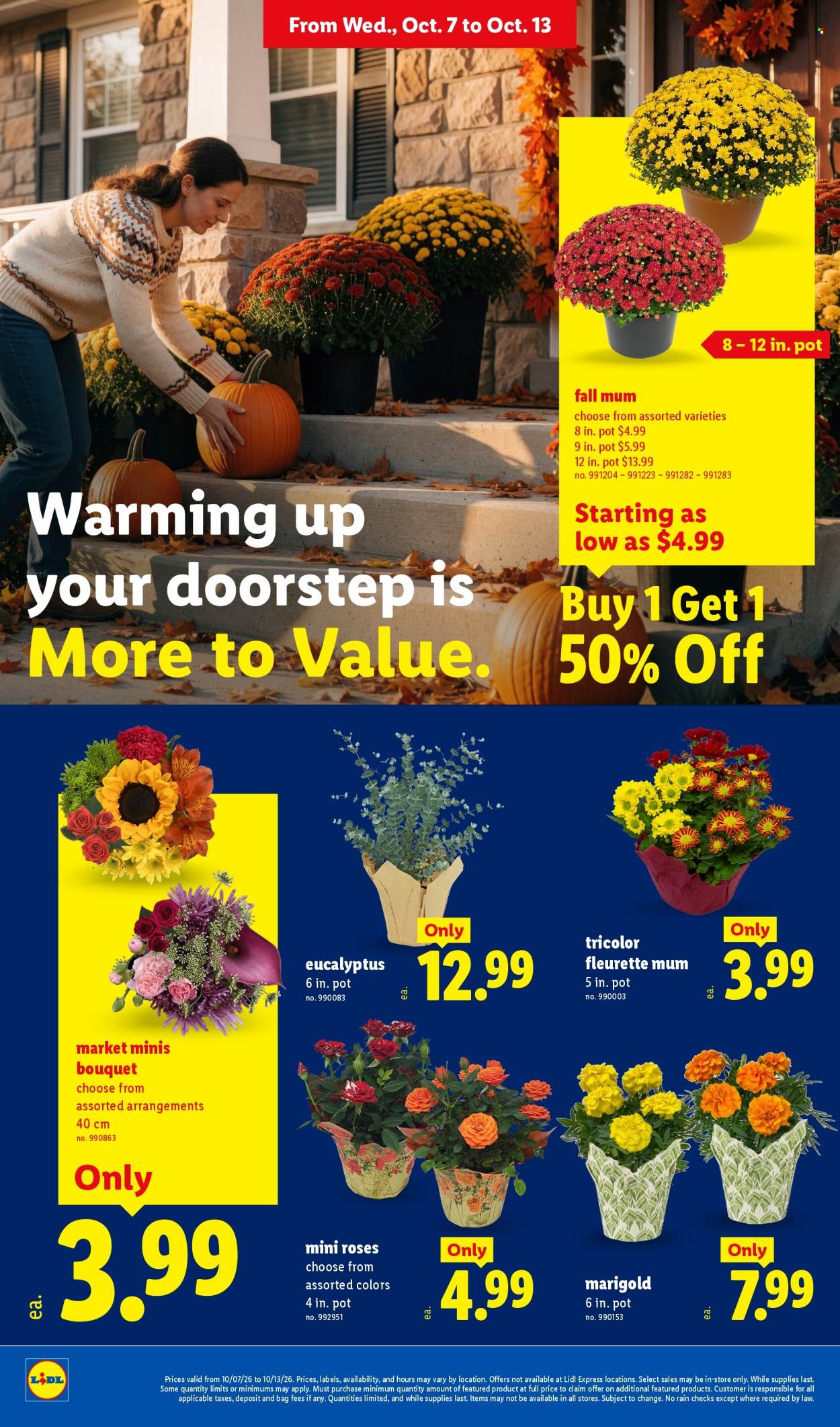 Lidl ad - 10/07/2026 - 10/13/2026. Page 22