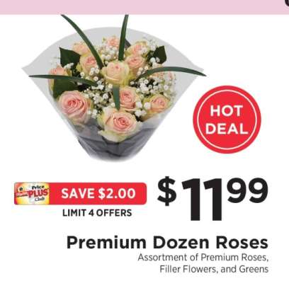 Premium Dozen Roses
