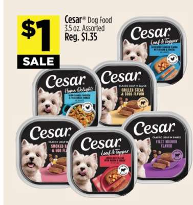 Cesar Dog Food
