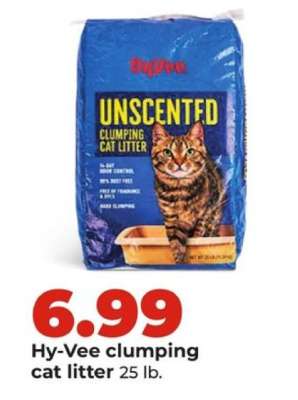 Hy-Vee clumping cat litter