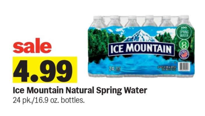 Ice Mountain Natural Spring Water