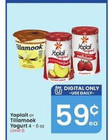 Yoplait or Tillamook Yogurt