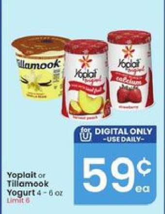 Yoplait or Tillamook Yogurt