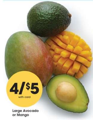 Large Avocado or Mango