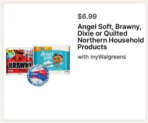 Angel Soft, Brawny, Dixie or Quilted Northern Household Products