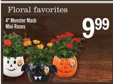 4" Monster Mash Mini Roses