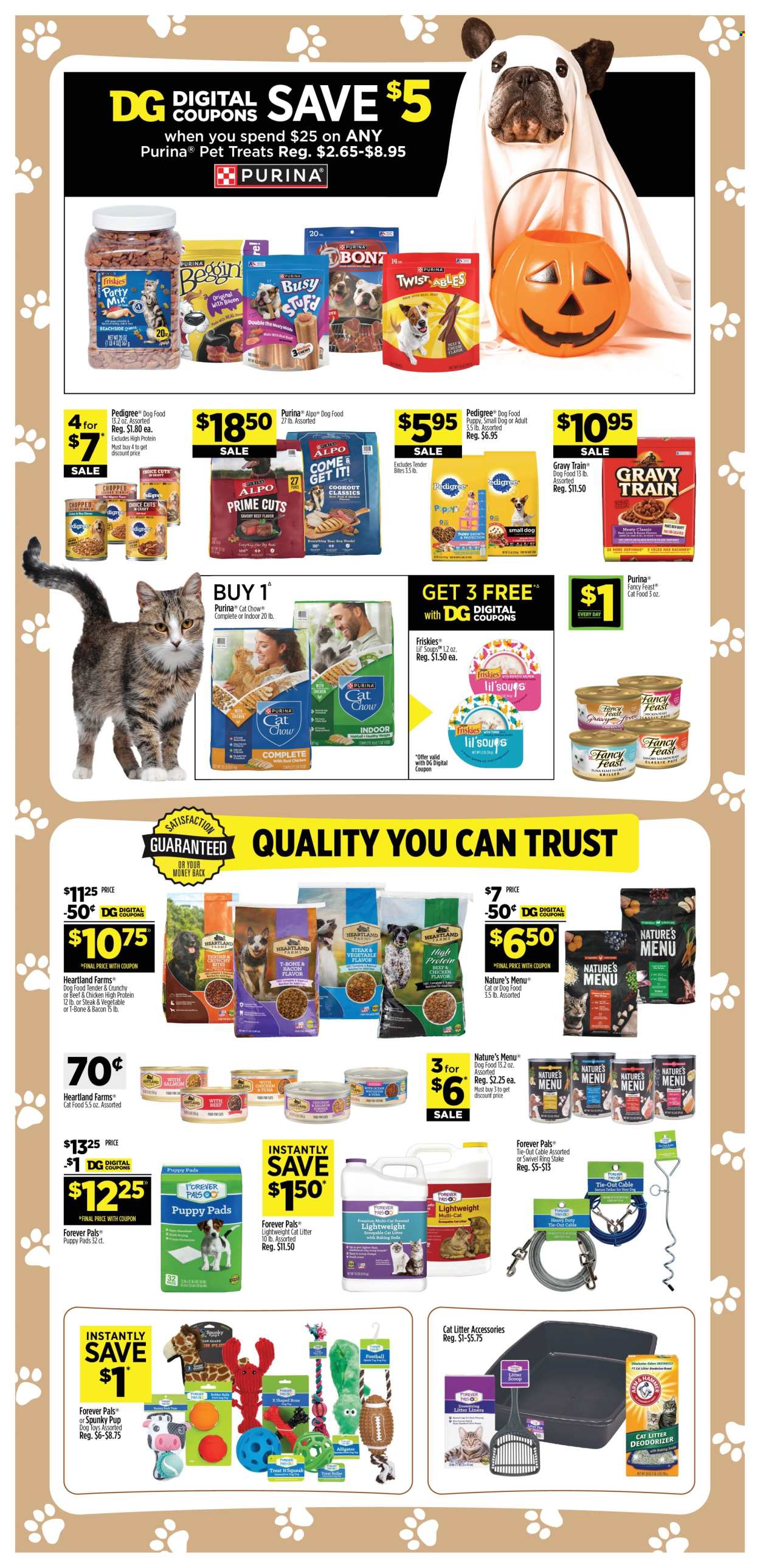 Dollar General ad - 10/11/2026 - 10/17/2026. Page 13