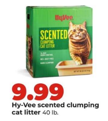 Hy-Vee scented clumping cat litter