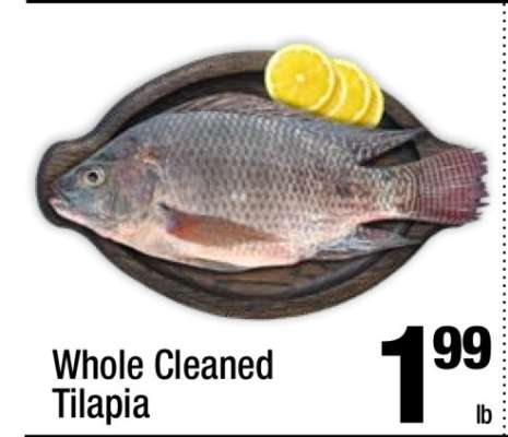 Whole Cleaned Tilapia