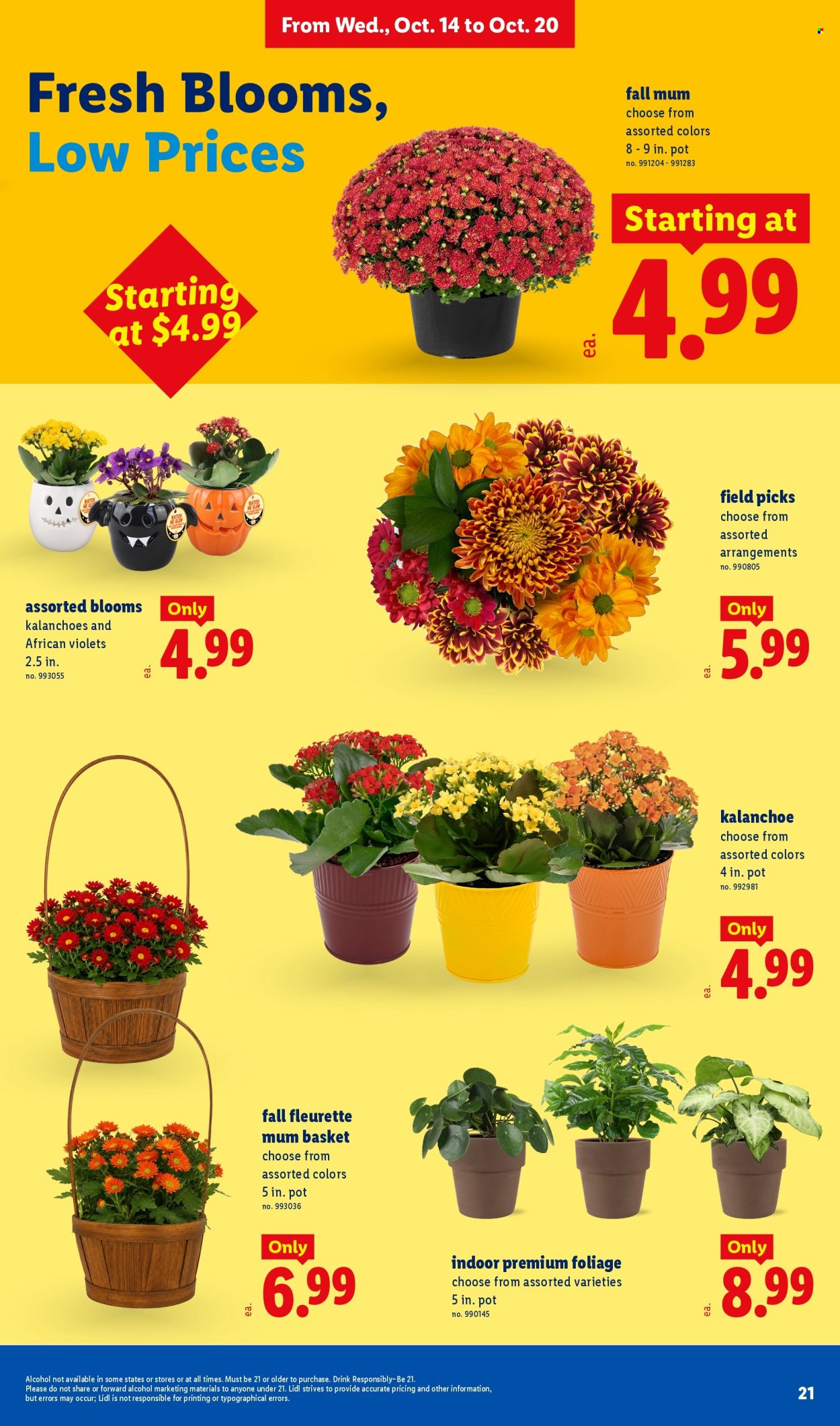Lidl ad - 10/14/2026 - 10/20/2026. Page 21