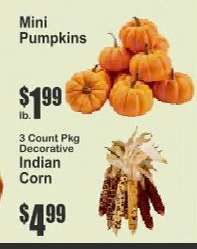 Mini Pumpkins