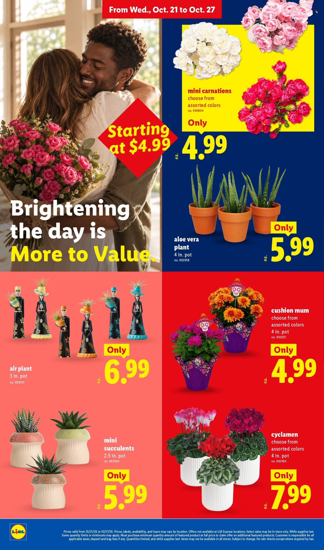 Lidl ad - 10/21/2026 - 10/27/2026. Page 18