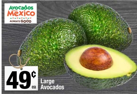 Large Avocados