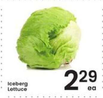 Iceberg Lettuce