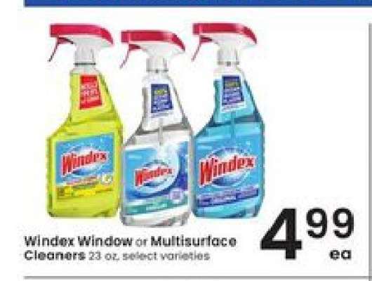 Windex Window or Multisurface Cleaners