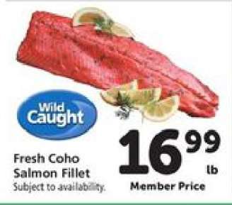 Fresh Coho Salmon Fillet
