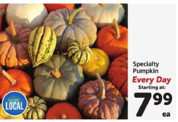 Specialty Pumpkin