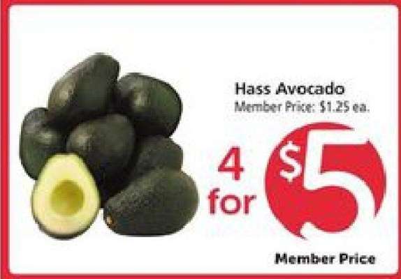 Hass Avocado