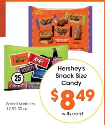 Hershey's Snack Size Candy