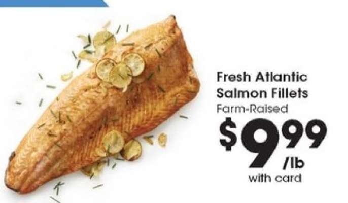 Fresh Atlantic Salmon Fillets