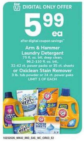 Arm & Hammer Laundry Detergent or Oxiclean Stain Remover