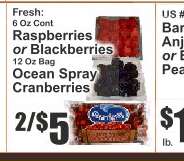 Ocean Spray Cranberries