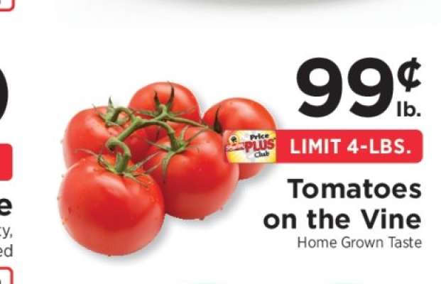 Tomatoes on the Vine