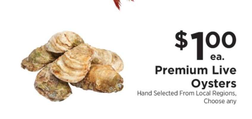 Premium Live Oysters