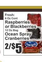 Ocean Spray Cranberries