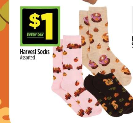 Harvest Socks