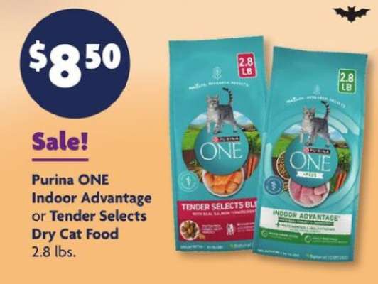 Purina ONE Indoor Advantage or Tender Selects Dry Cat Food