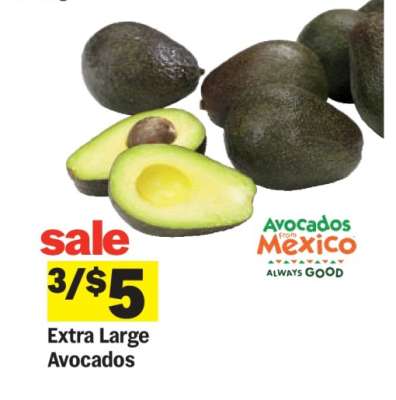 Extra Large Avocados