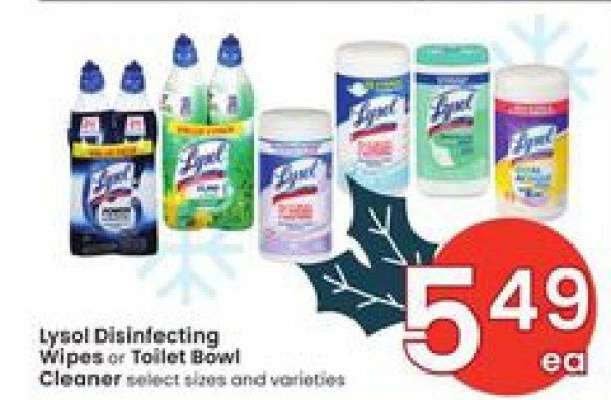 Lysol Disinfecting Wipes or Toilet Bowl Cleaner