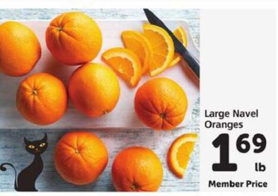 Large Navel Oranges