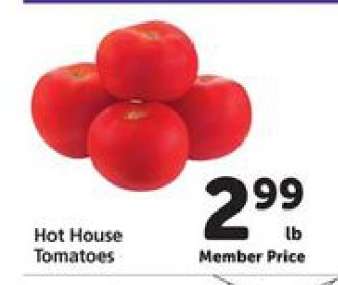 Hot House Tomatoes