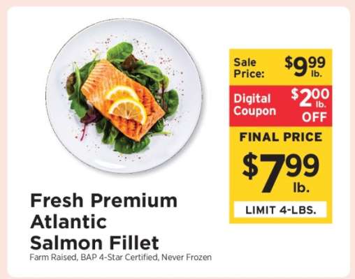 Fresh Premium Atlantic Salmon Fillet