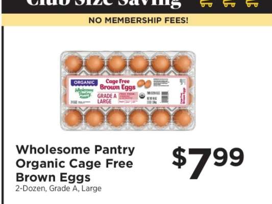 Wholesome Pantry Organic Cage Free Brown Eggs