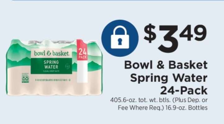 Bowl & Basket Spring Water 24-Pack